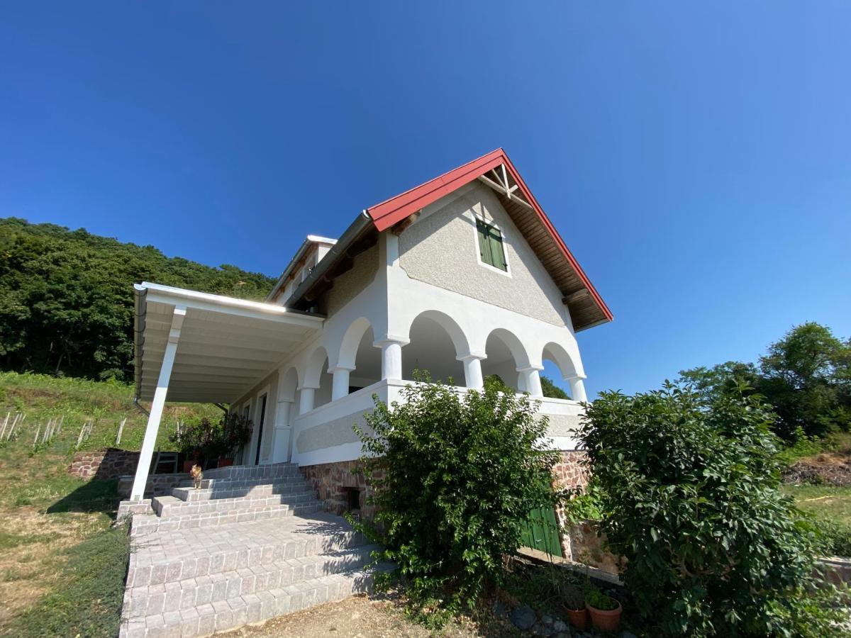 Gyulakeszi Chateau Segesdi Borapartman מראה חיצוני תמונה